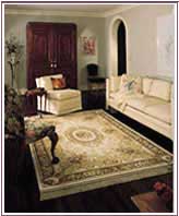 Area Rug 3