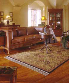 Area Rug 2